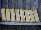 Produkte_2