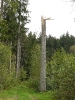 Unwetter Schaden Herbst 2011_1