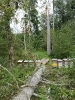 Unwetter Schaden Herbst 2011_2