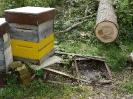 Unwetter Schaden Herbst 2011_4