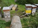 Unwetter Schaden Herbst 2011_5