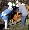 Jungimkeraktion 2019_1